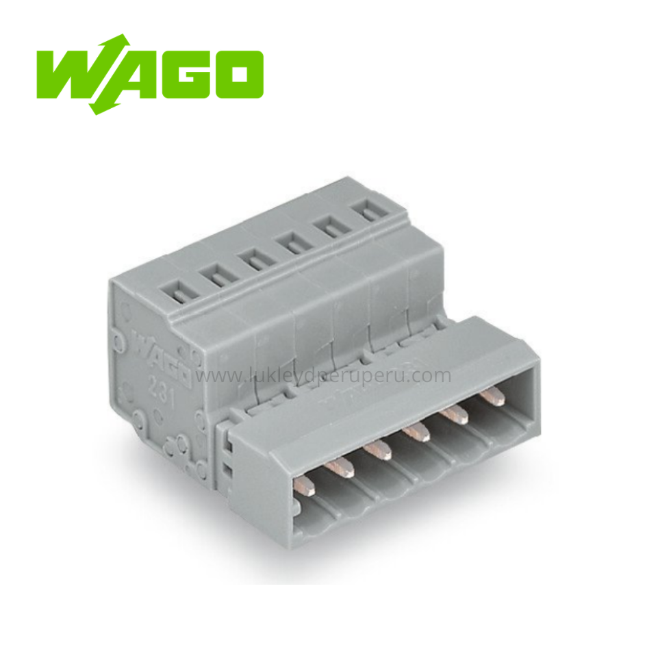 CONECTOR MACHO 2 POLOS PASO