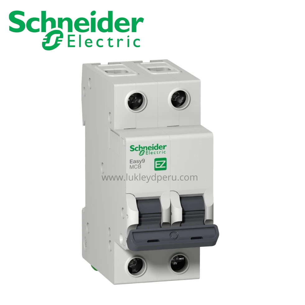 INTERRUPTOR TERMOMAGNETICO 2X63A EASY 9 6kA 230/400V AC SCHNEIDER ELECTRIC