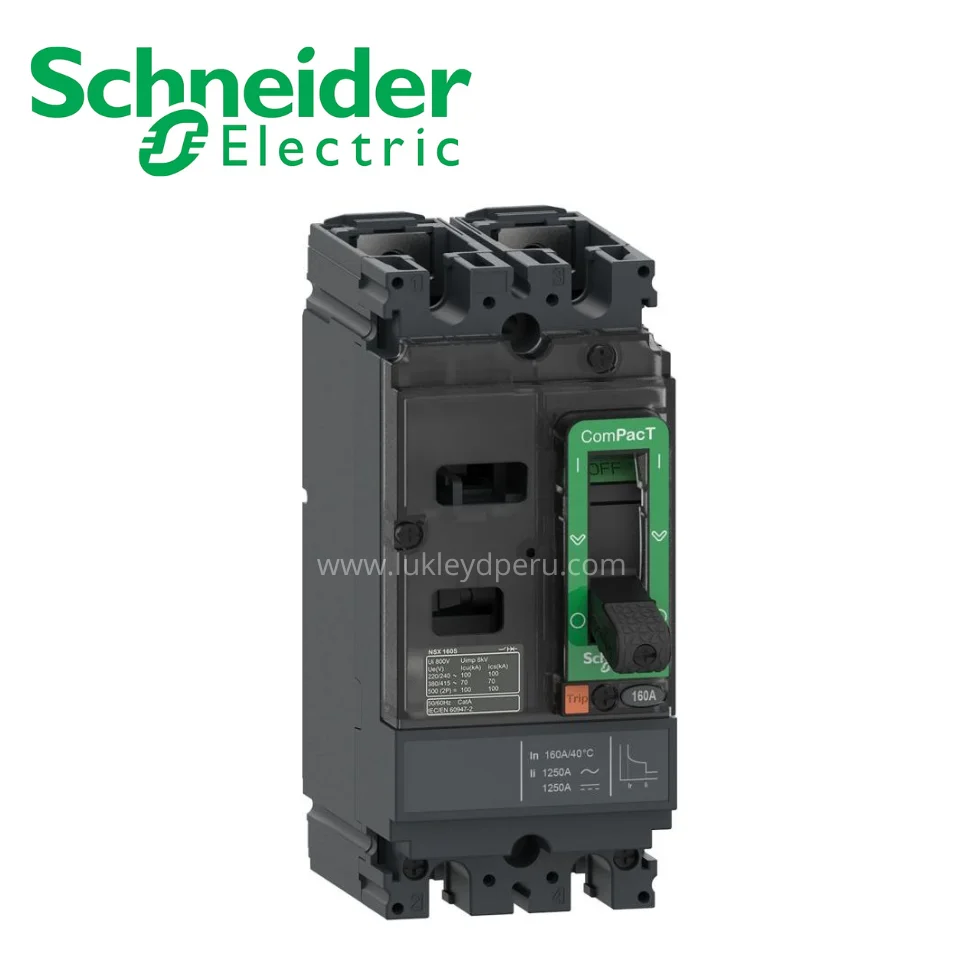 Interruptor termomagnético fijo 2x40A 36/18/15kA 220/380/440V NSX100F SCHNEIDER ELECTRIC